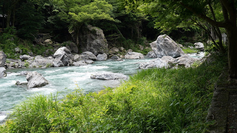 Tama River, Tokyo