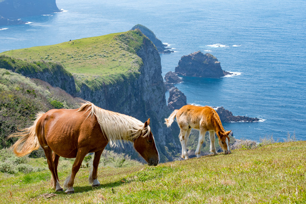 Oki Islands