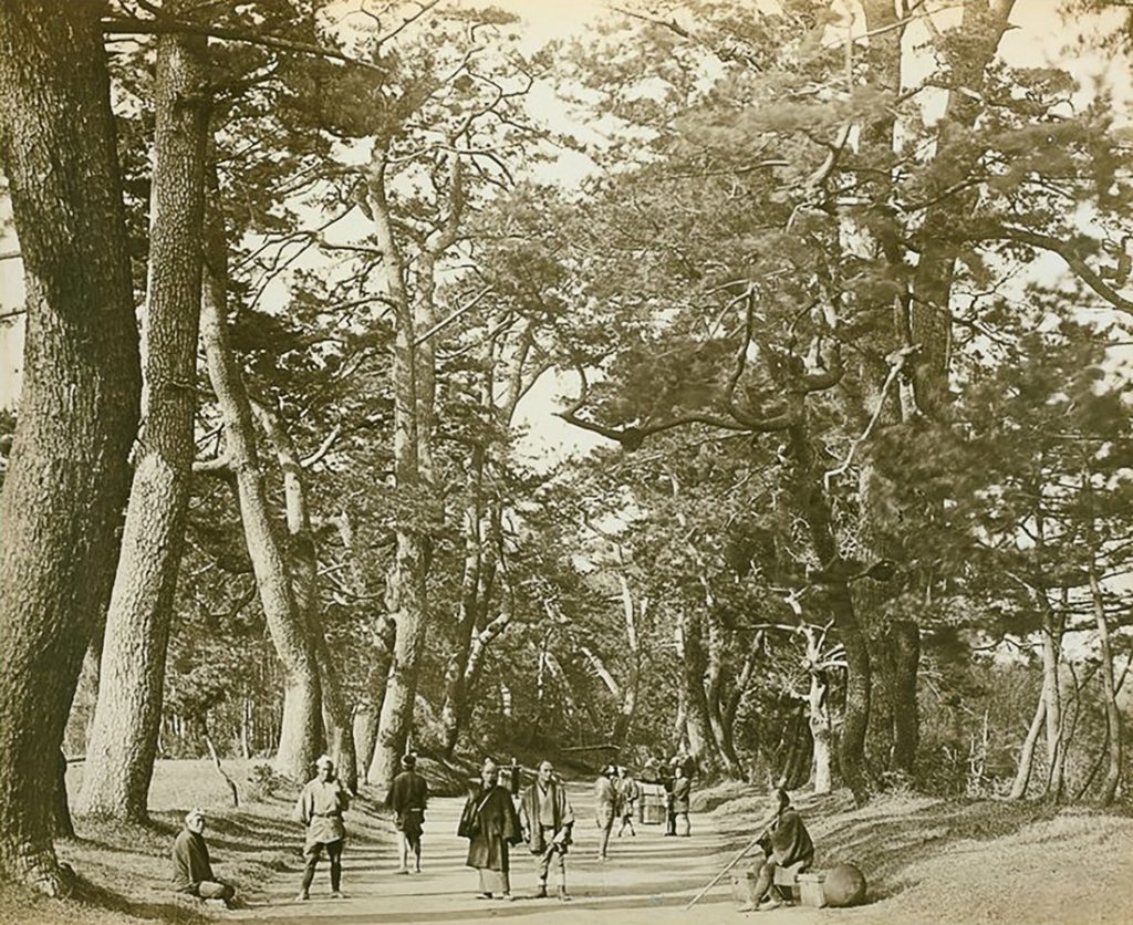 Photo of the Tōkaidō road (東海道, eastern sea route) by Felice Beato in 1865.