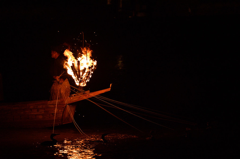 Ukai fishing in Nagara-gawa