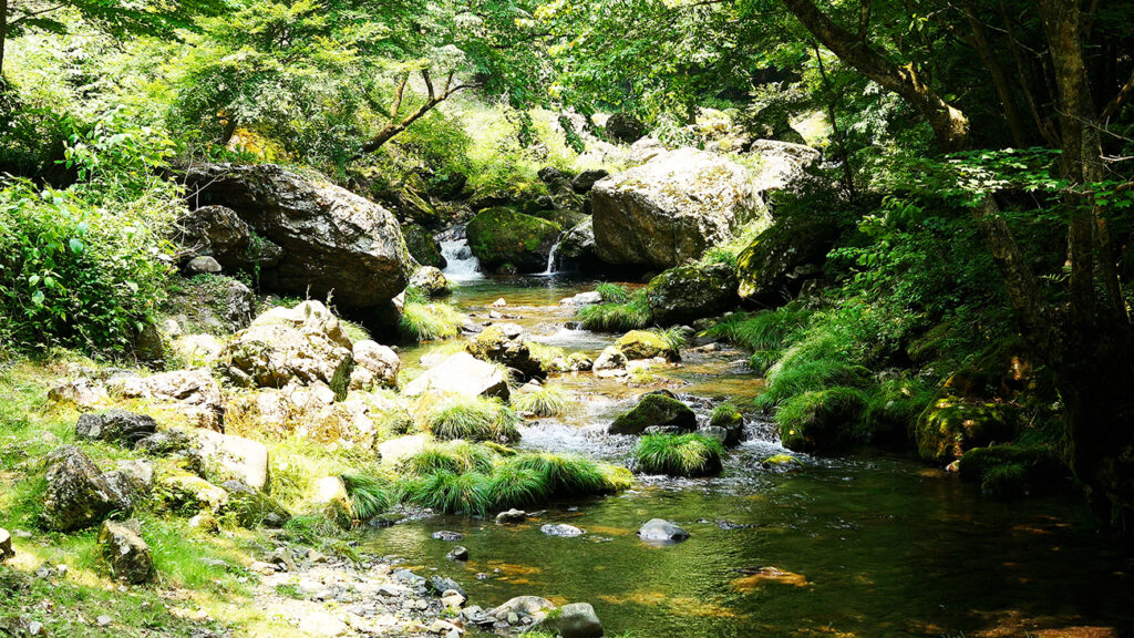 Mountain stream in Akigawa Valley